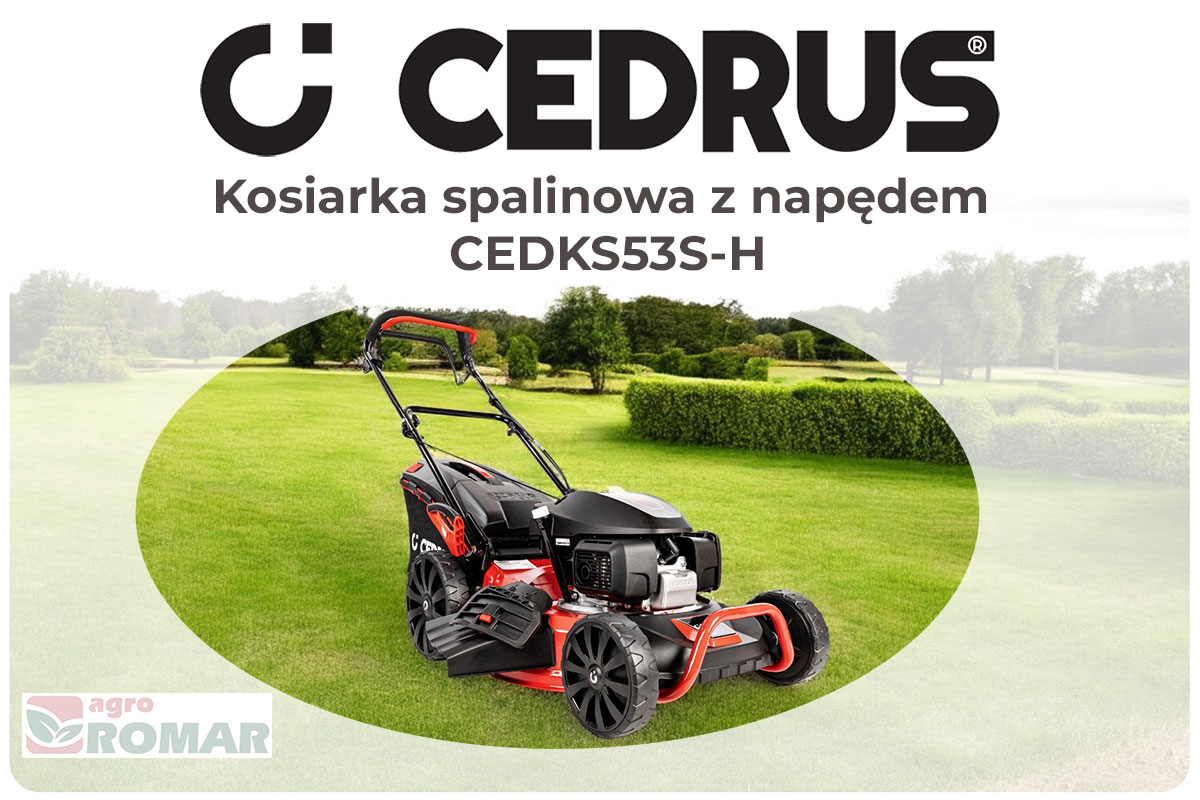 Kosiarka spalinowa Cedrus CEDKS53S-H 